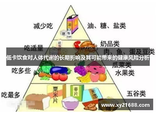 低卡饮食对人体代谢的长期影响及其可能带来的健康风险分析